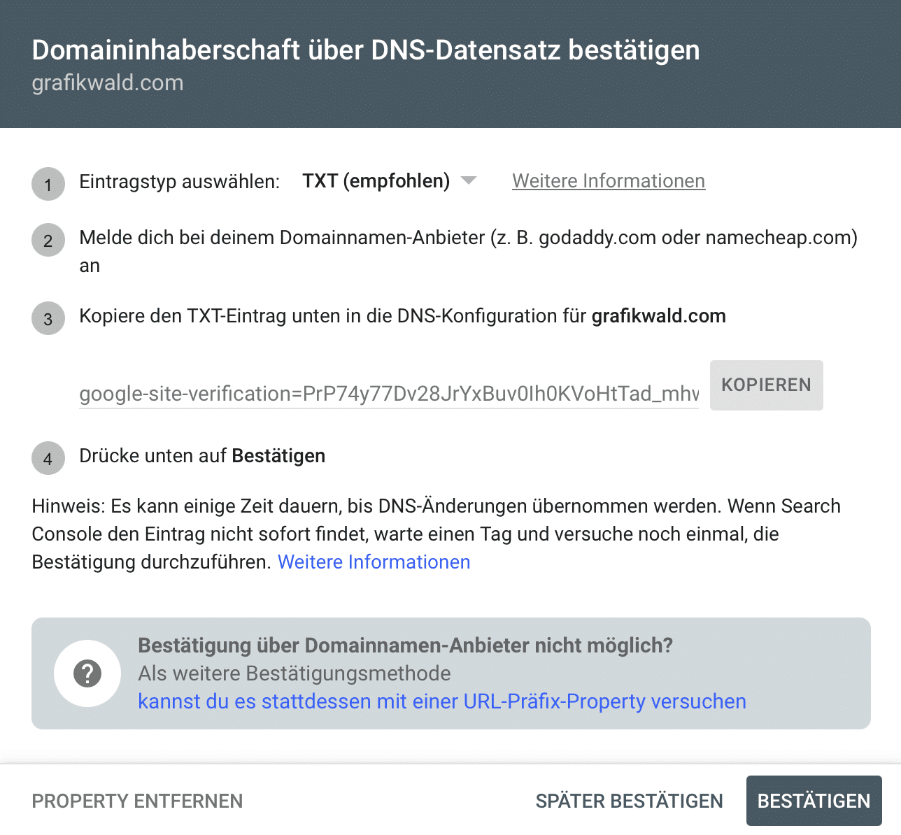 Property per DNS Eintrag verifzieren